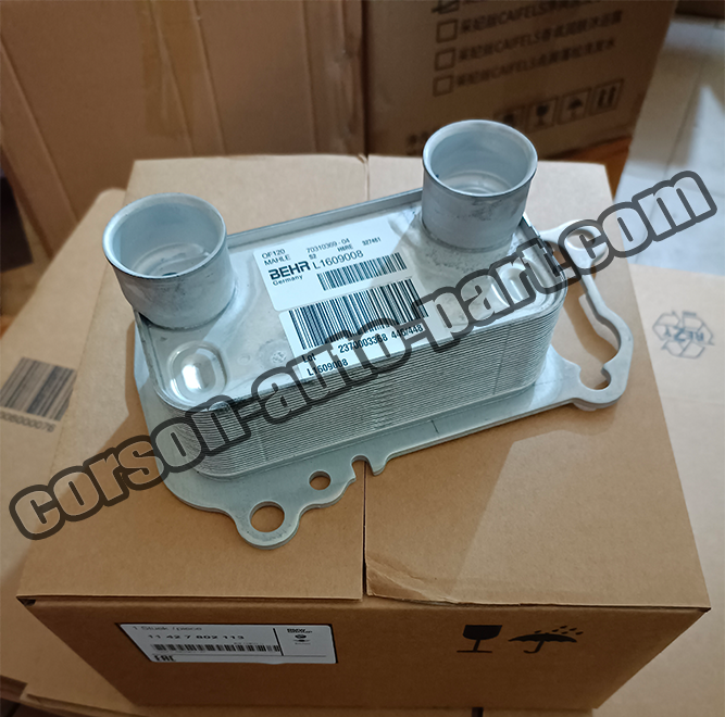 BMW Oil Filter Heat Exchanger 11427802113